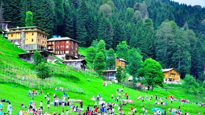 برنامج طرابزون و ايدر خمس نجوم