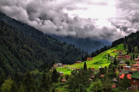 برنامج طرابزون و ايدر