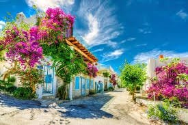 أفضل 5 أماكن سياحية لزيارتها في مدينة بودروم التركية لعام 2024