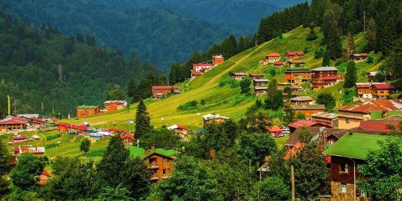 312064a83de6a64634.67155018921