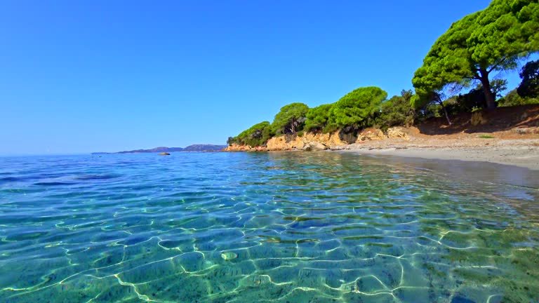  أشهر نهر في تركيا