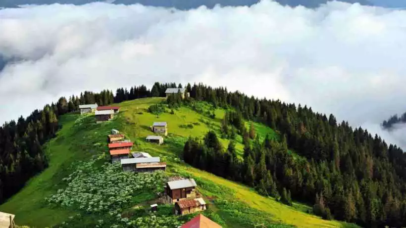 رحلة مرتفعات حيدر نبي من طرابزون