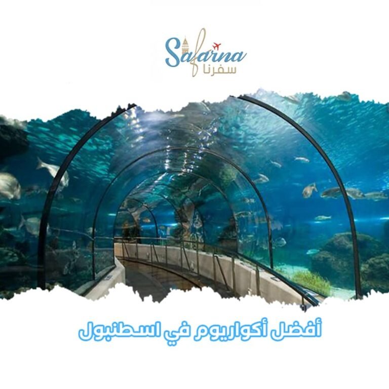 أفضل أكواريوم في اسطنبول