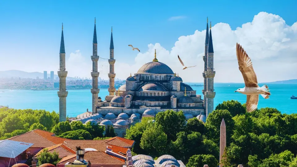 خدمات vip(الشخصيات المهمة) شركة سفرنا