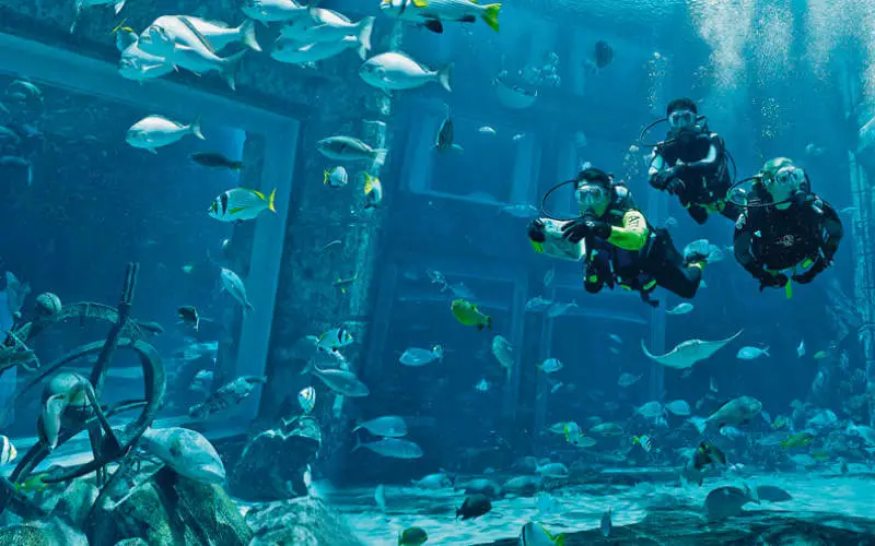 أفضل أكواريوم في اسطنبول