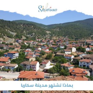 بماذا تشتهر مدينة سكاريا