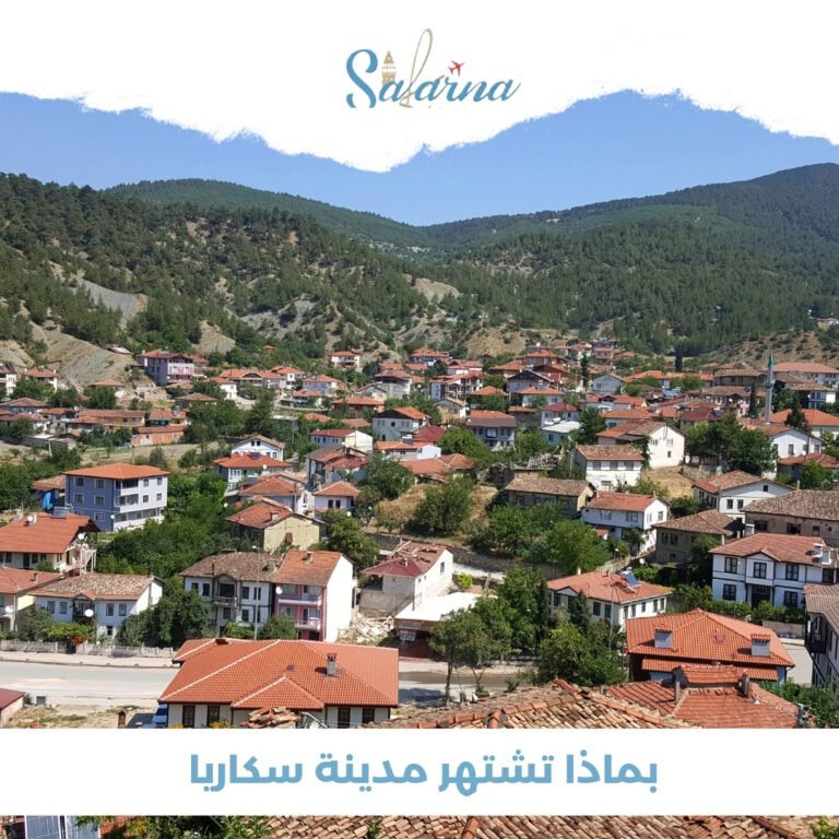 بماذا تشتهر مدينة سكاريا