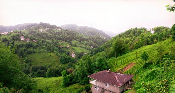 جولة في مدينة ريزا التركية