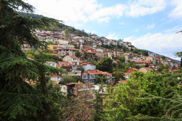 فعاليات وأنشطة فيا بورت توزلا مارينا