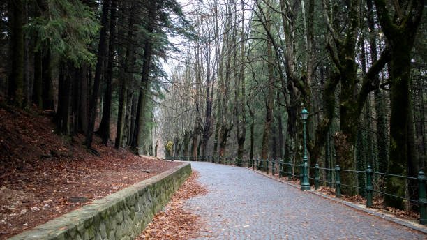 منتزه غابة اتاتورك بورصة