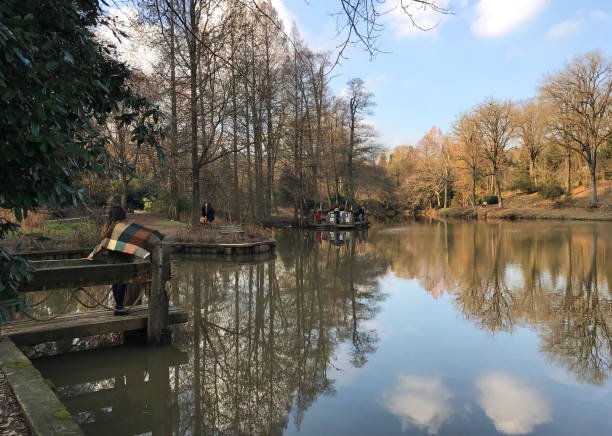 جولة بسيارة خاصة مع سائق إلى حدائق ومحميات إسطنبول