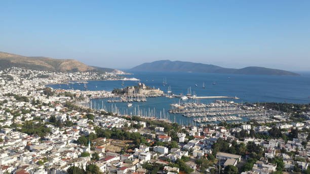 كيف احجز سائق في تركيا؟