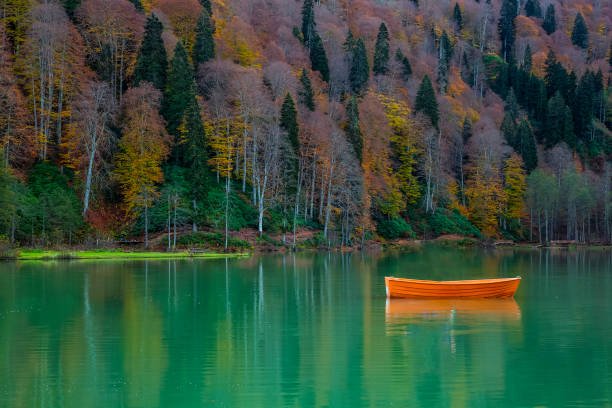 كم سعر الرافتنج في ايدر؟