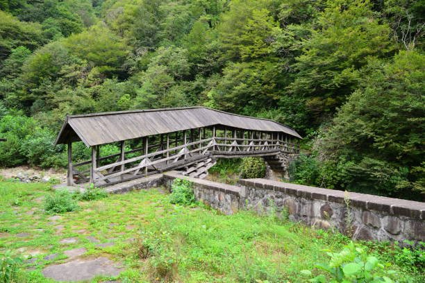 جولة في الشلالات الخلابة ومزارع الشاي الشهيرة