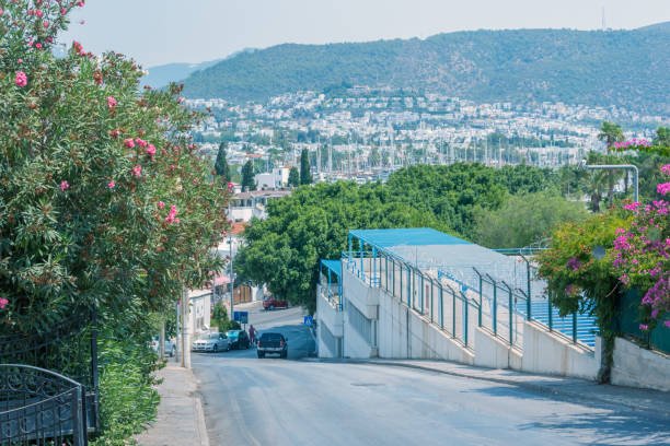 سائق عربي في بودروم