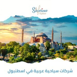 شركات سياحية عربية في اسطنبول