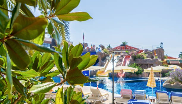 فندق بألعاب مائية في اسطنبول