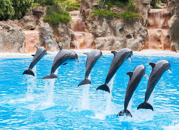 فعاليات انطاليا