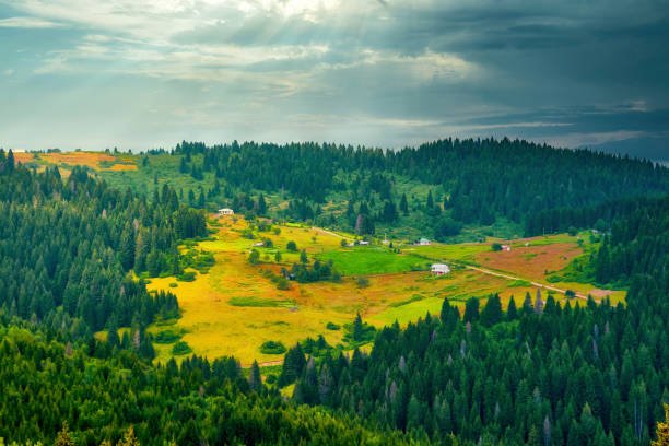 كم تبعد غيرسون عن اوردو