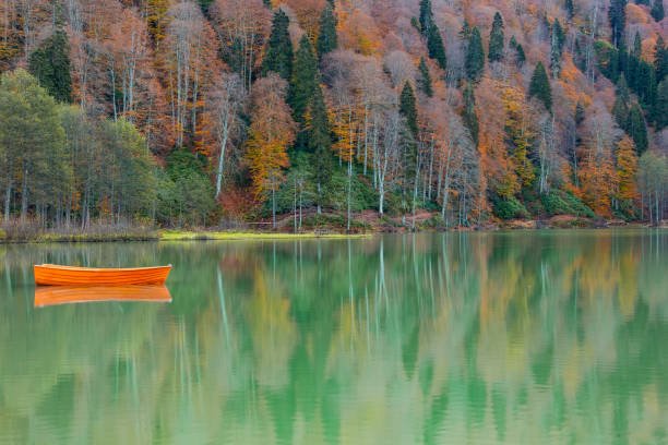 ميدان اوردو