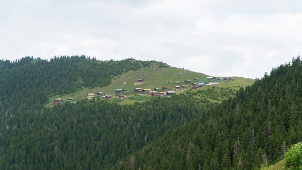 مرتفعات ايدر