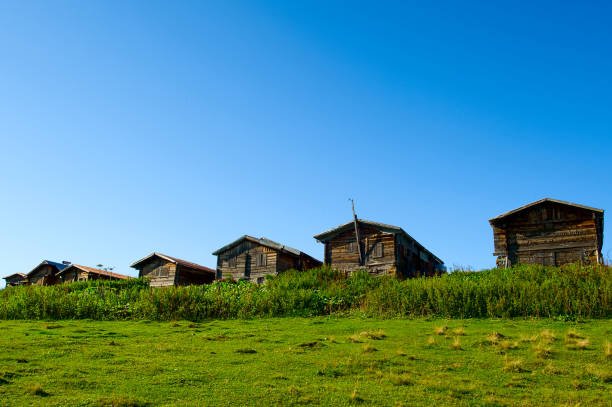 كم تبعد مدينة ريزا عن اسطنبول