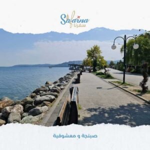 صبنجة و معشوقية