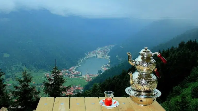 السياحة في طرابزون     