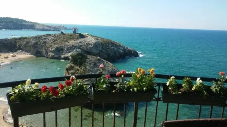 جولة سياحية إلى شيلا واغوا