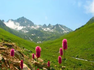 الرحلات البرية في تركيا